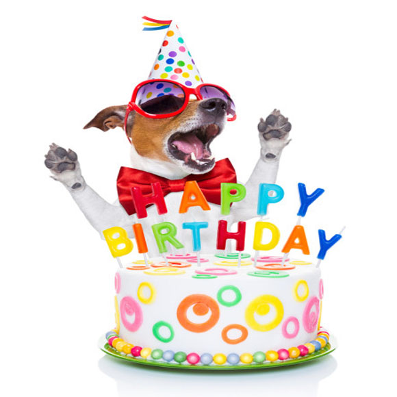 Happy Birthday Dog Singing - Paint Fun Studio